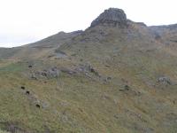 Albums/20060200-New Zealand 2006/20060201-Christchurch/46